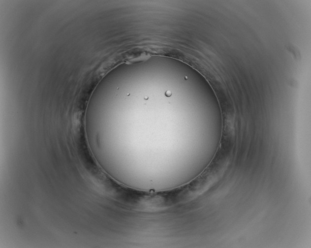 X0000113920271200910090942