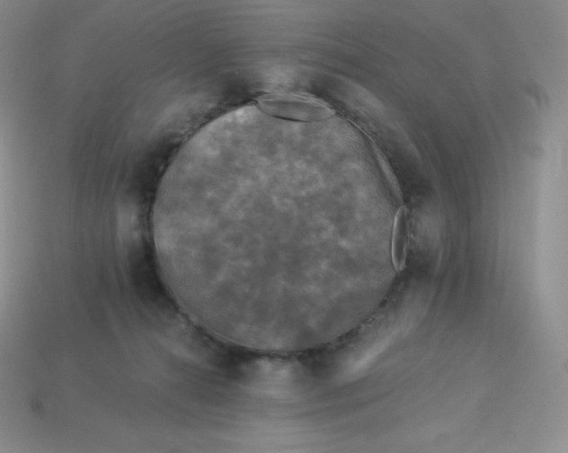 X0000113920272200910090942