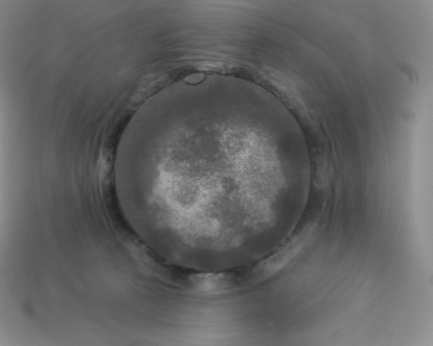 X0000113920273200910090942