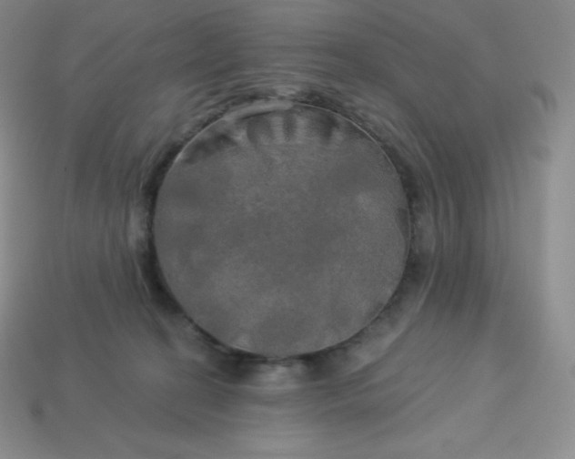 X0000113920274200910090942