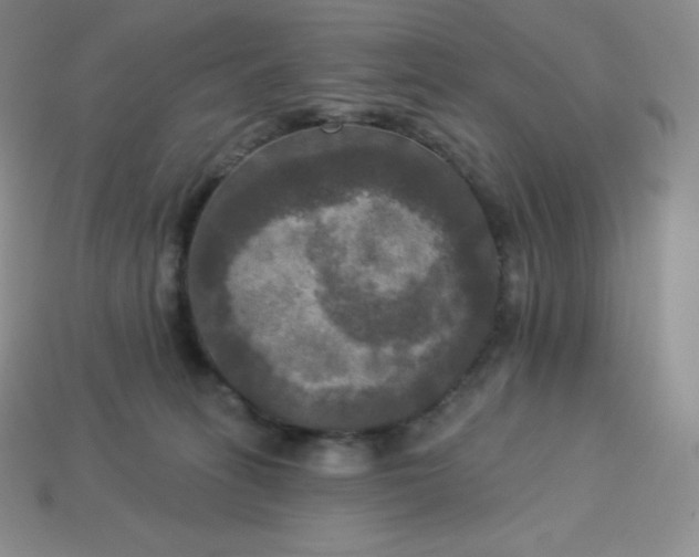 X0000113920275200910090943