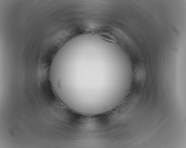 X0000113920276200910090943
