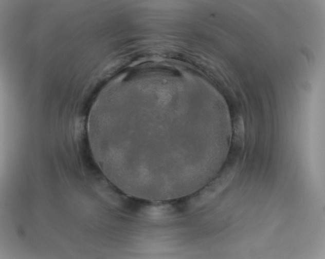 X0000113920278200910090943