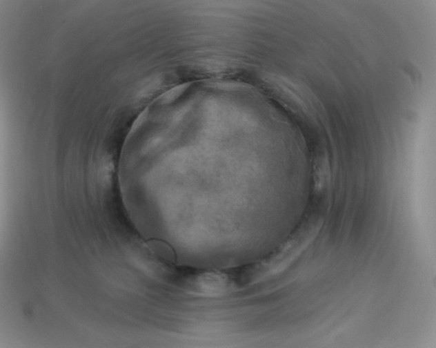X0000113920279200910090943
