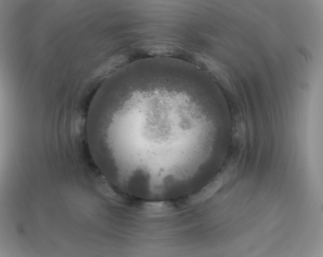 X0000113920281200910090943