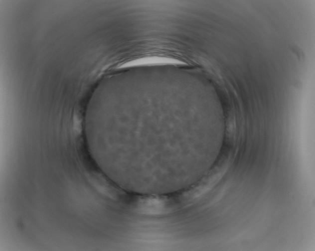 X0000113920282200910090943