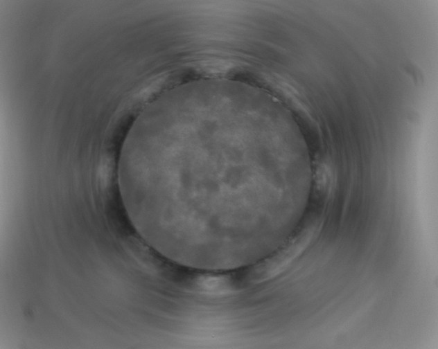 X0000113920283200910090943