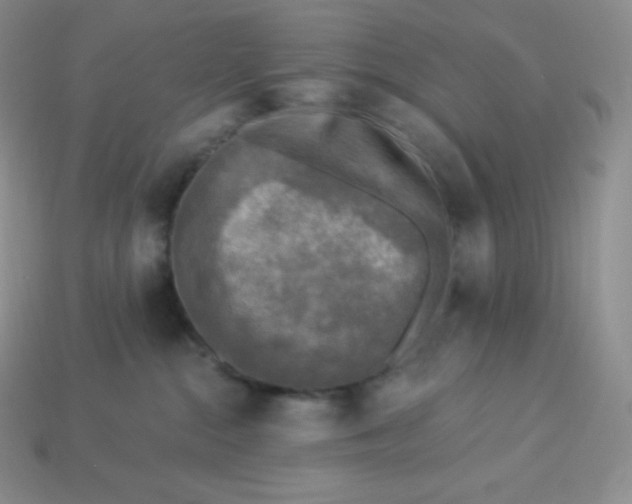 X0000113920284200910090943