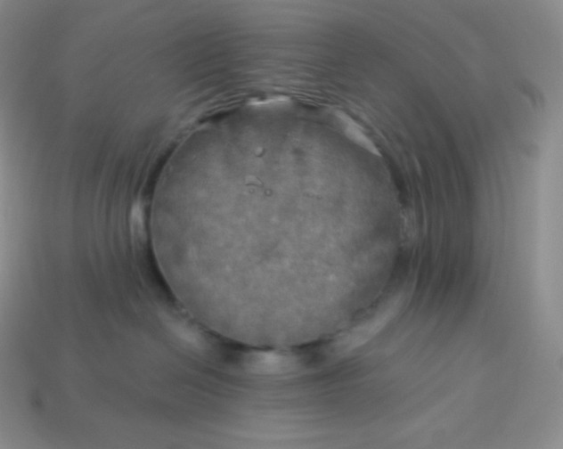 X0000113920286200910090943