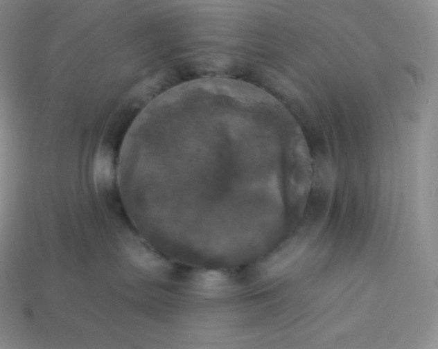 X0000113920287200910090943