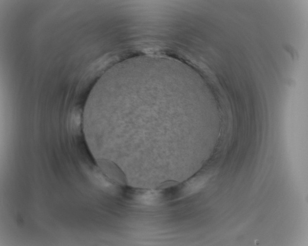 X0000113920288200910090943
