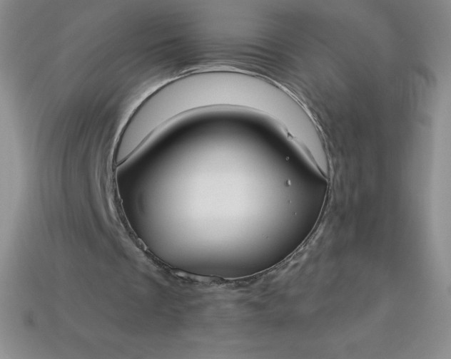 X0000113920289200910090942