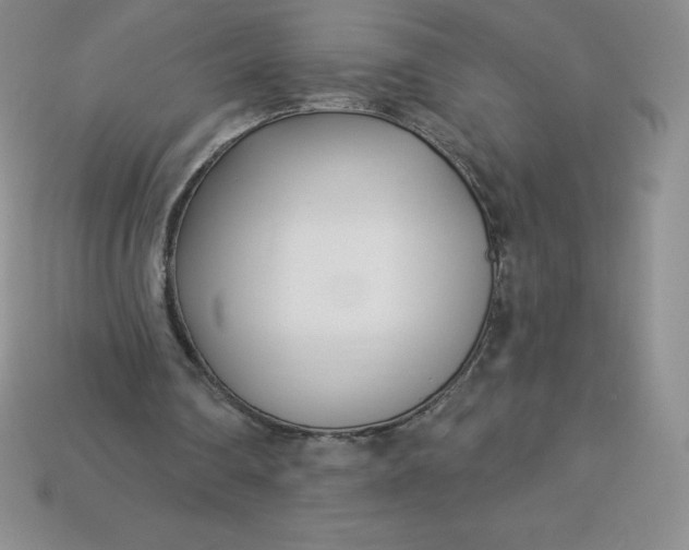 X0000113920290200910090942