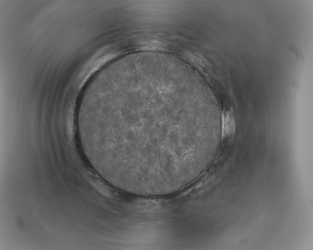 X0000113920291200910090942