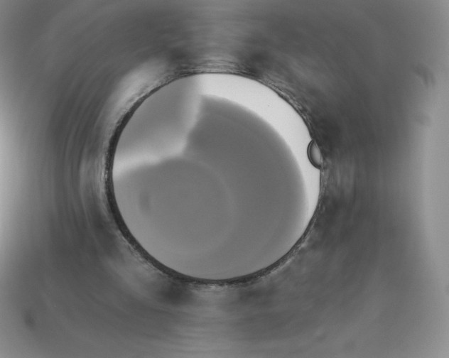 X0000113920293200910090942