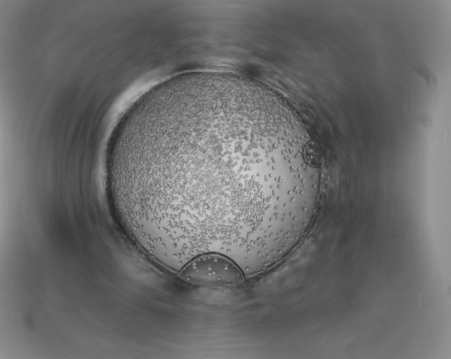 X0000113920294200910090942