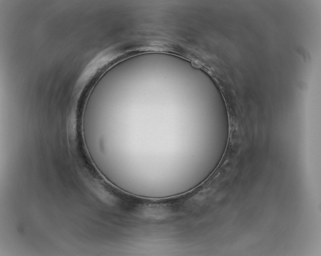 X0000113920296200910090942