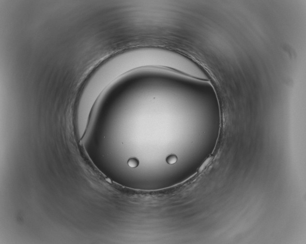 X0000113920297200910090942