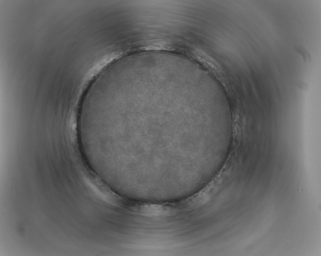 X0000113920298200910090942