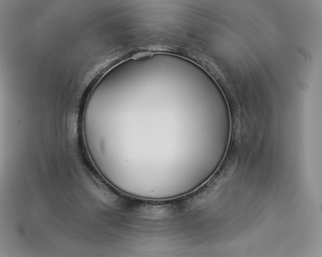 X0000113920299200910090942