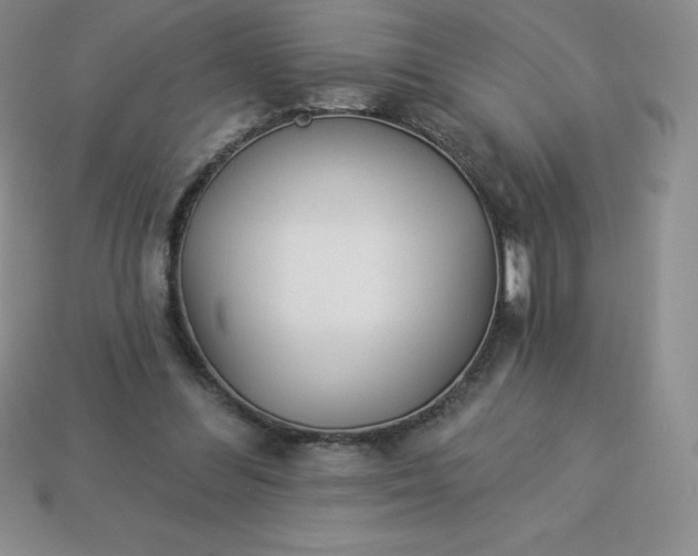 X0000113920300200910090942