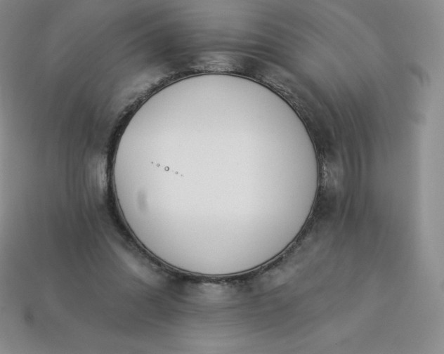 X0000113920302200910090942