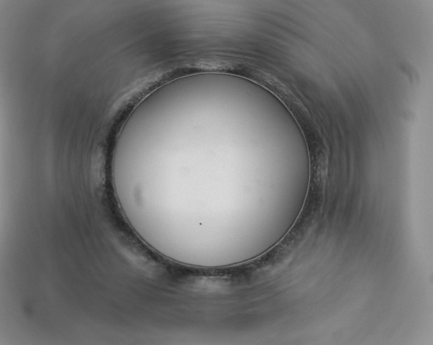 X0000113920303200910090942