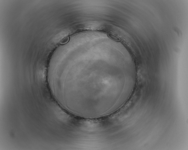 X0000113920305200910090942