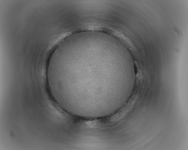 X0000113920306200910090942