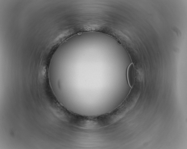 X0000113920308200910090942