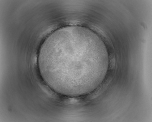 X0000113920310200910090942
