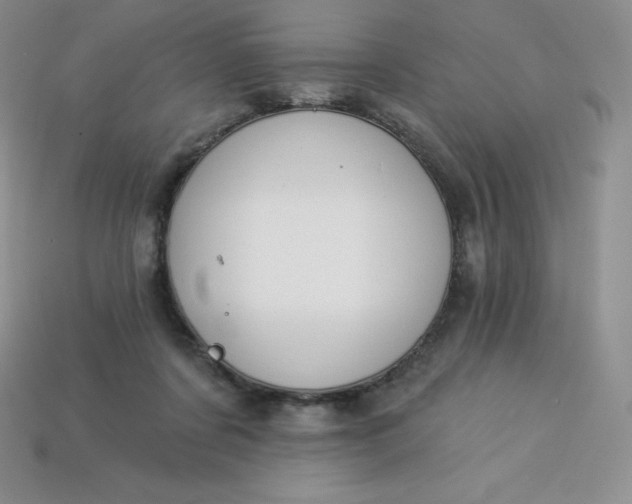 X0000113920311200910090942