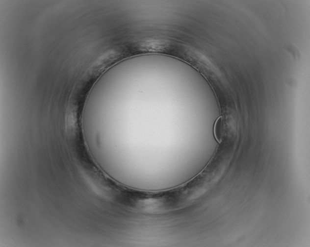 X0000113920312200910090942