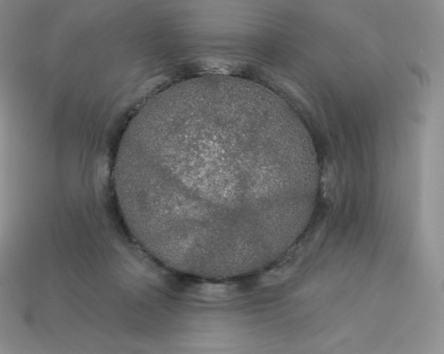 X0000113920314200910090942