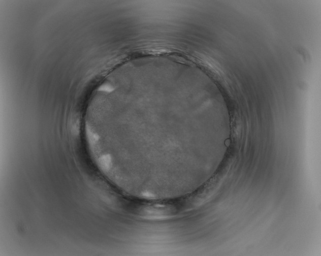 X0000113920315200910090942