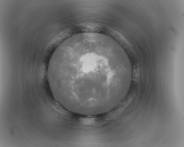 X0000113920318200910090942