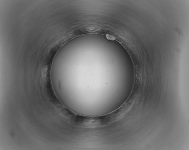 X0000113920319200910090942