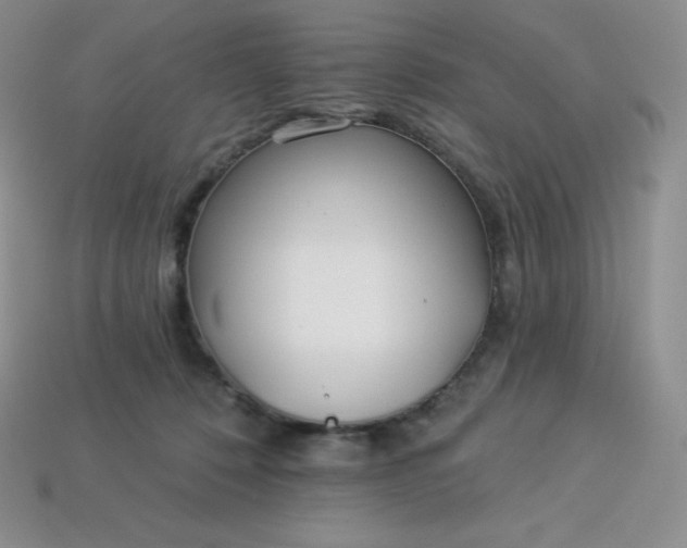 X0000113920320200910090942