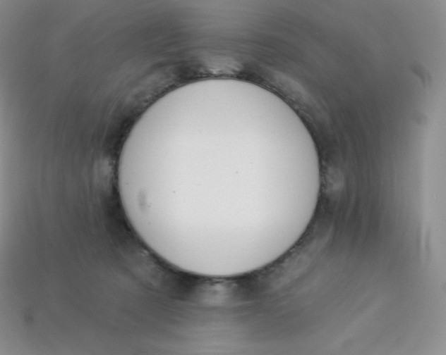 X0000113920321200910090942