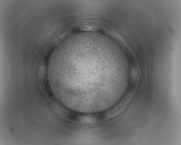 X0000113920322200910090942