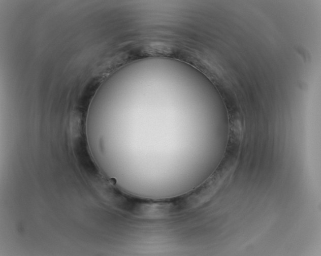 X0000113920323200910090942