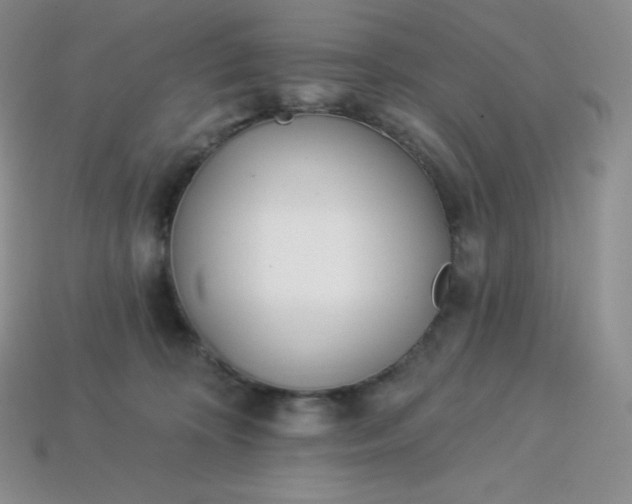 X0000113920324200910090942