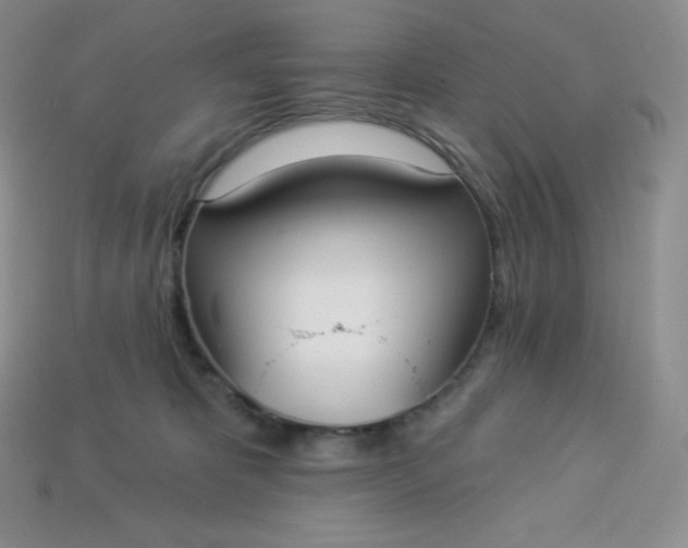X0000113920325200910090942