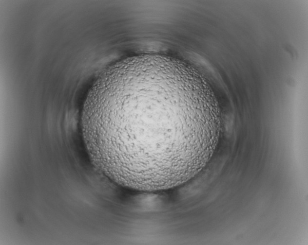 X0000113920326200910090942