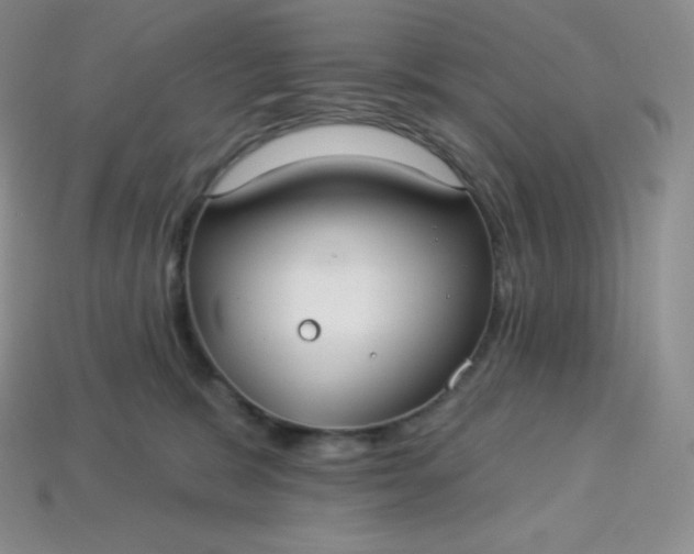 X0000113920327200910090942