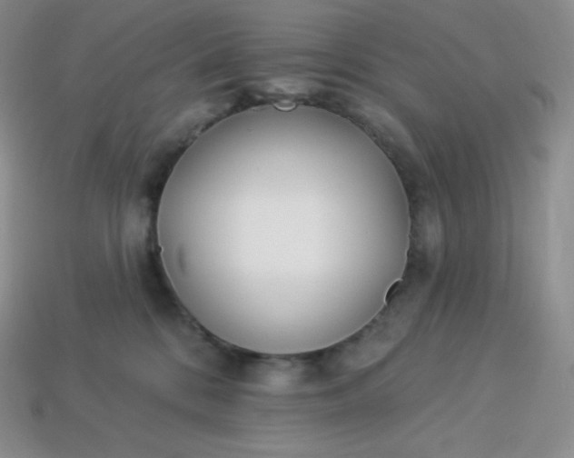 X0000113920328200910090942