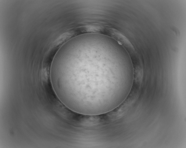 X0000113920329200910090942