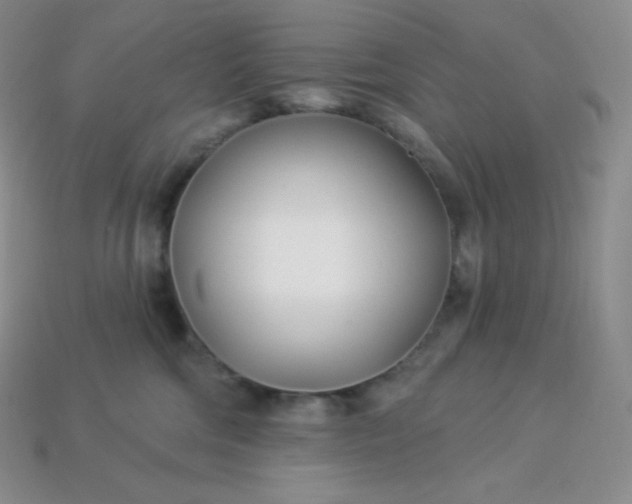 X0000113920330200910090942