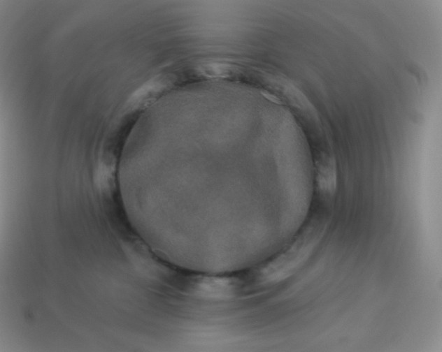 X0000113920332200910090942