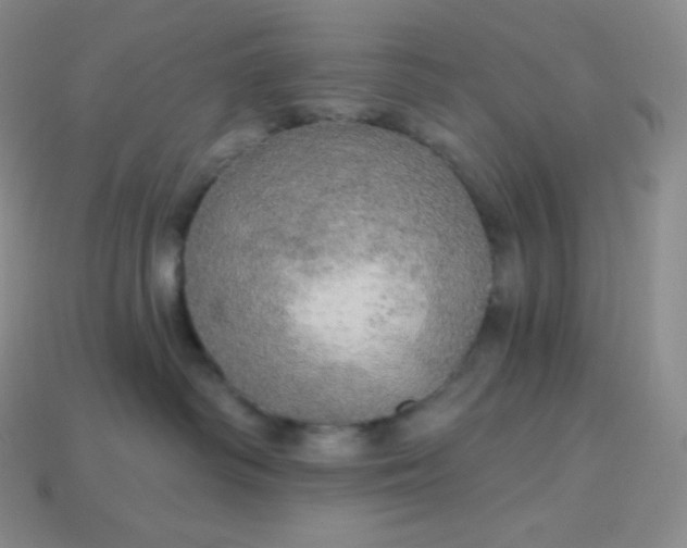 X0000113920334200910090941